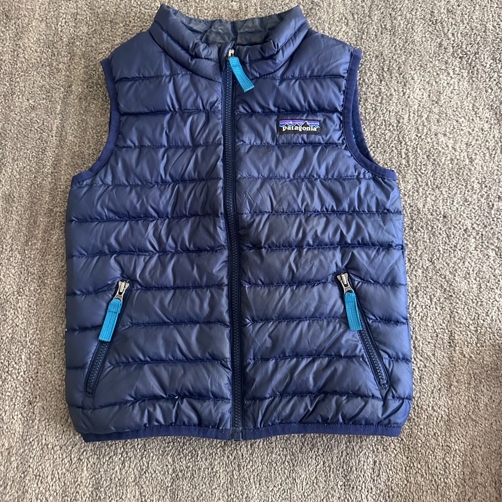 Patagonia Blue Puffer Vest